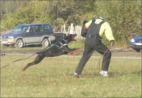 Training in Estonia 9/2007